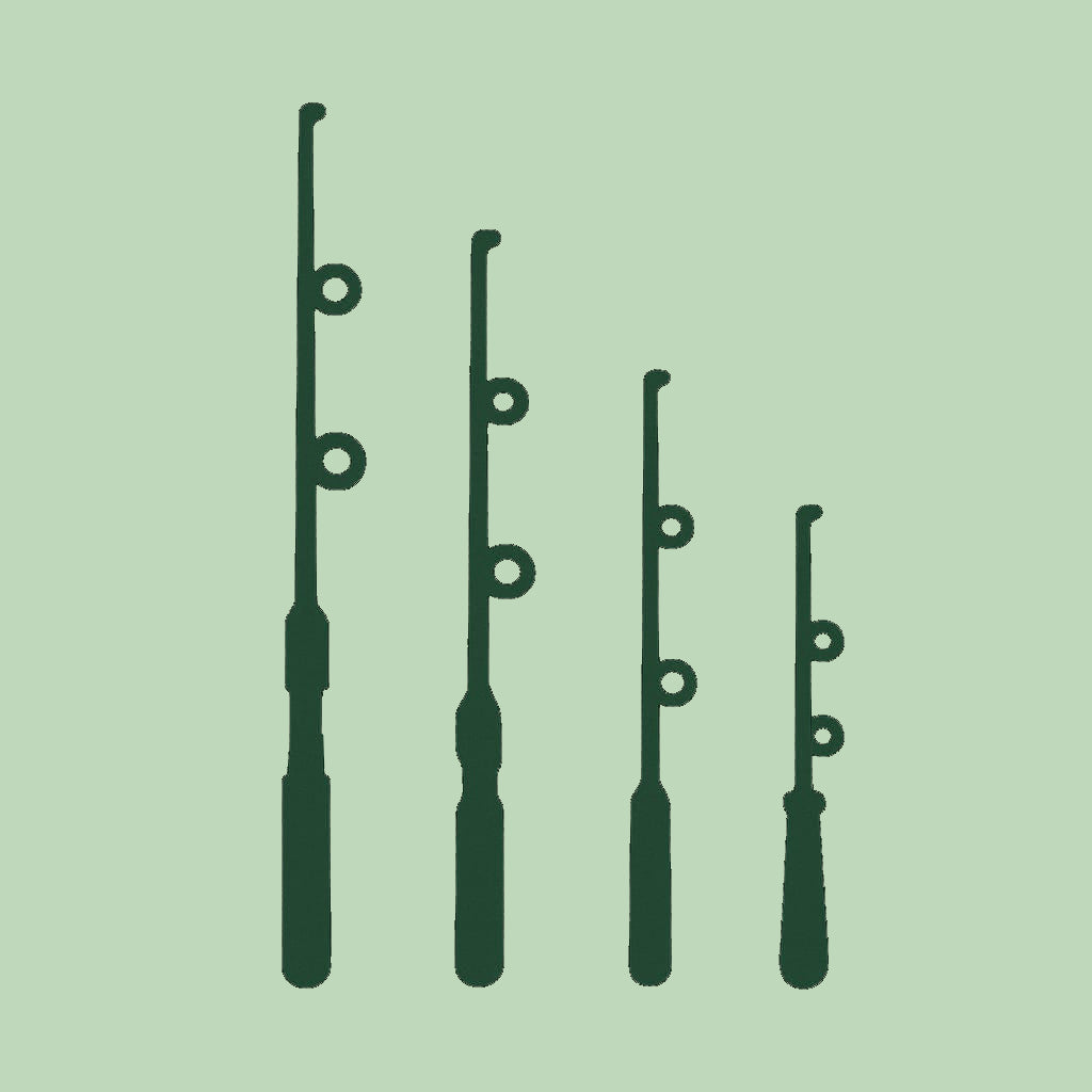 Cañas